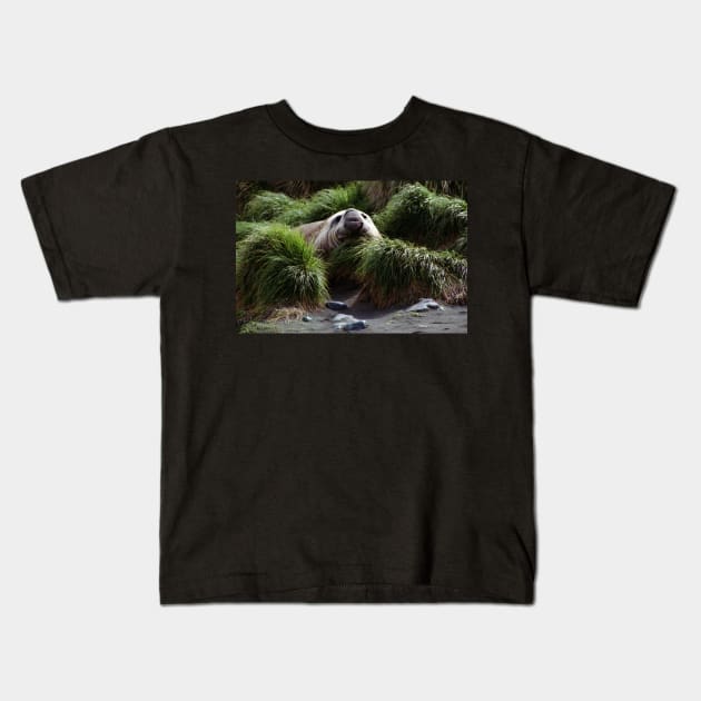 Southern Elephant Seal in the Tussock Grass, Macquarie Island Kids T-Shirt by Carole-Anne